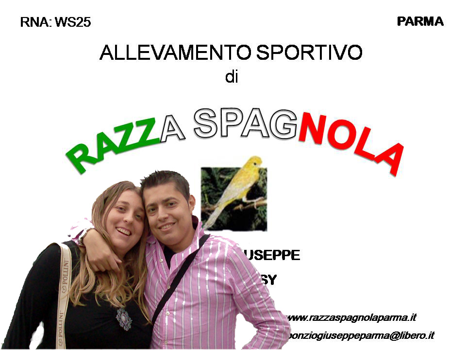 razza spagnola parma